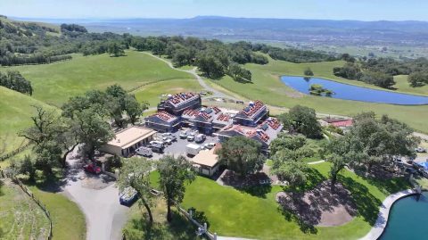 Petaluma Hills Ranch Thumbnail